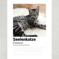 Seelenkatze